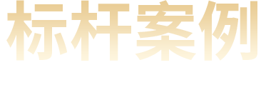 标杆案例